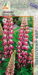 Люпин Первая Леди  купить