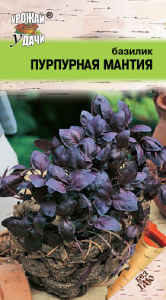 Базилик Пурпурная Мантия купить