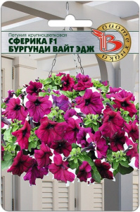 Петуния Сферика F1 Бургунди Вайт Эдж купить
