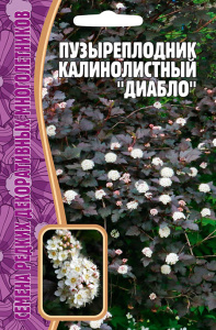 Пузыреплодник Диабло калинолистный купить