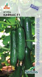 Огурец Кафкас F1  купить