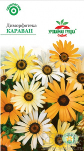 Диморфотека Караван  купить