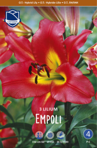 Лилия ОТ-гибрид Empoli /3шт купить
