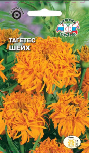 Тагетес Шейх купить