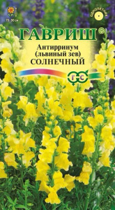 Львиный Зев Солнечный  купить