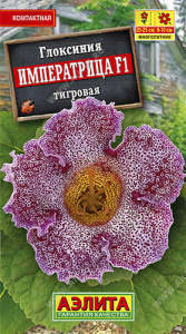 Глоксиния Императрица тигровая F1 купить