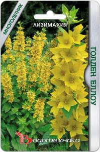 Лизимахия Голден Еллоу  купить