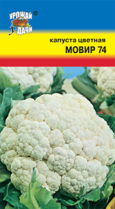 Капуста (цветная) Мовир купить