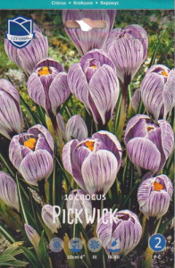 Крокус vernus "Pickwick" (1х10шт) купить