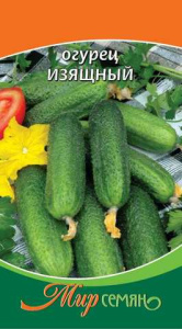 Огурец Изящный 0.5г купить