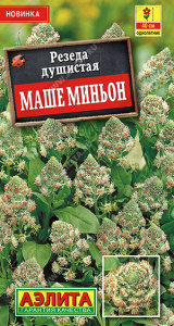 Резеда душистая Маше миньон купить