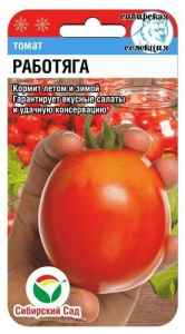 Томат Работяга  купить