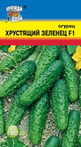 Огурец Хрустящий зелец  купить