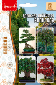 Дзельква японская Пильчатая купить