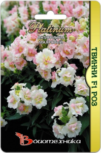 Антирринум Твинни F1 Роз махровый купить