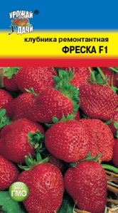 Клубника Фреска  купить