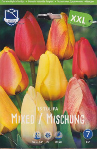 Смесь тюльпанов XXL 14/16 (1х15шт) купить