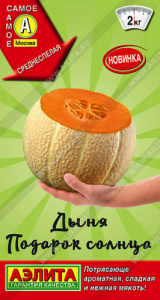 Дыня Подарок солнца  Самое самое купить