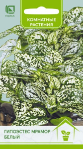 Гипоэстес Мрамор Белый купить