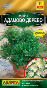 Мирт Адамово дерево купить
