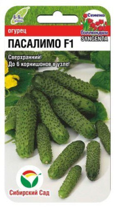 Огурец Пасалимо F1 Сингента купить