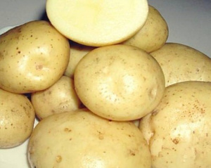 Картофель семенной Сантэ 2кг (Суперэлита) купить