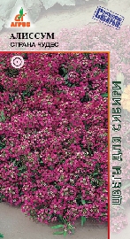 Алиссум Страна Чудес 20шт купить
