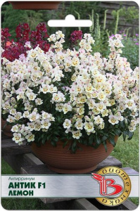 Антирринум Антик F1 Лемон купить