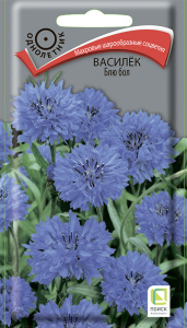 Василек Блю бол купить