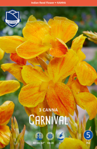 Канна Carnival /3шт купить