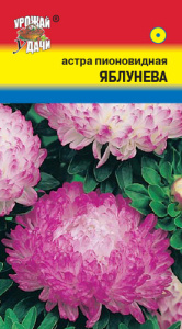 Астра Яблунева пионовидная купить