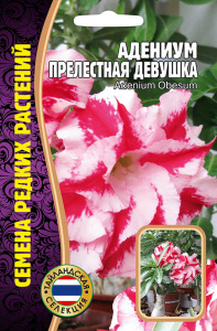 Адениум Прелестная Девушка купить