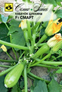 Кабачок Смарт F1 цуккини купить