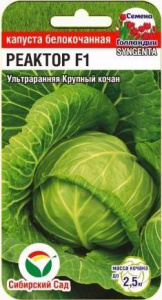 Капуста Реактор F1 (Syngenta) купить