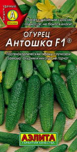Огурец Антошка F1 купить