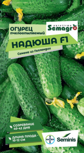 Огурец Надюша F1  купить