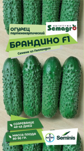 Огурец Брандино F1  купить