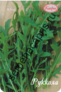 Рукола Гурман купить