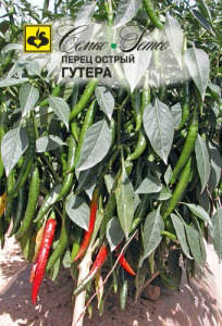 Перец (острый) Гутера  купить