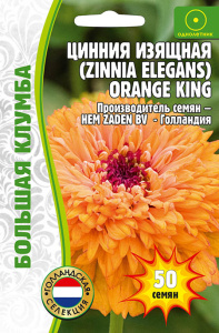 Цинния Orange King изящная купить