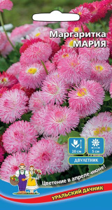 Маргаритка Мария купить