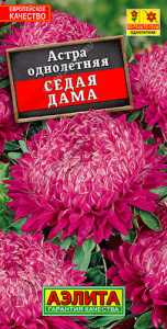 Астра Седая дама  купить