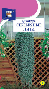 Дихондра Серебряные нити  купить