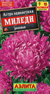 Астра Миледи розовая купить