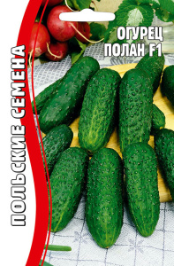 Огурец Полан купить