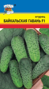Огурец Байкальская Гавань F1  купить