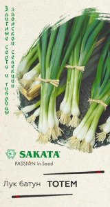 Лук Тотем, батун купить