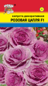 Капуста декоративная Розовая цапля купить