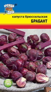 Капуста (брюссельская) БРАБАНТ купить