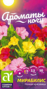 Мирабилис Ночная Красавица  купить